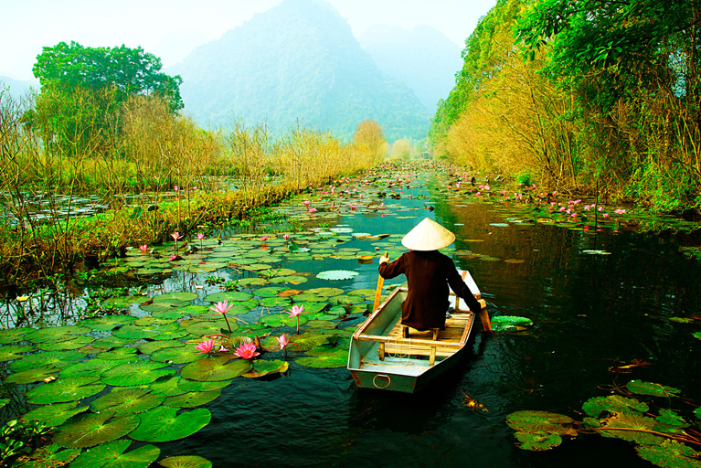 Park On King | Top Destinations To Visit In March