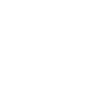 security icon