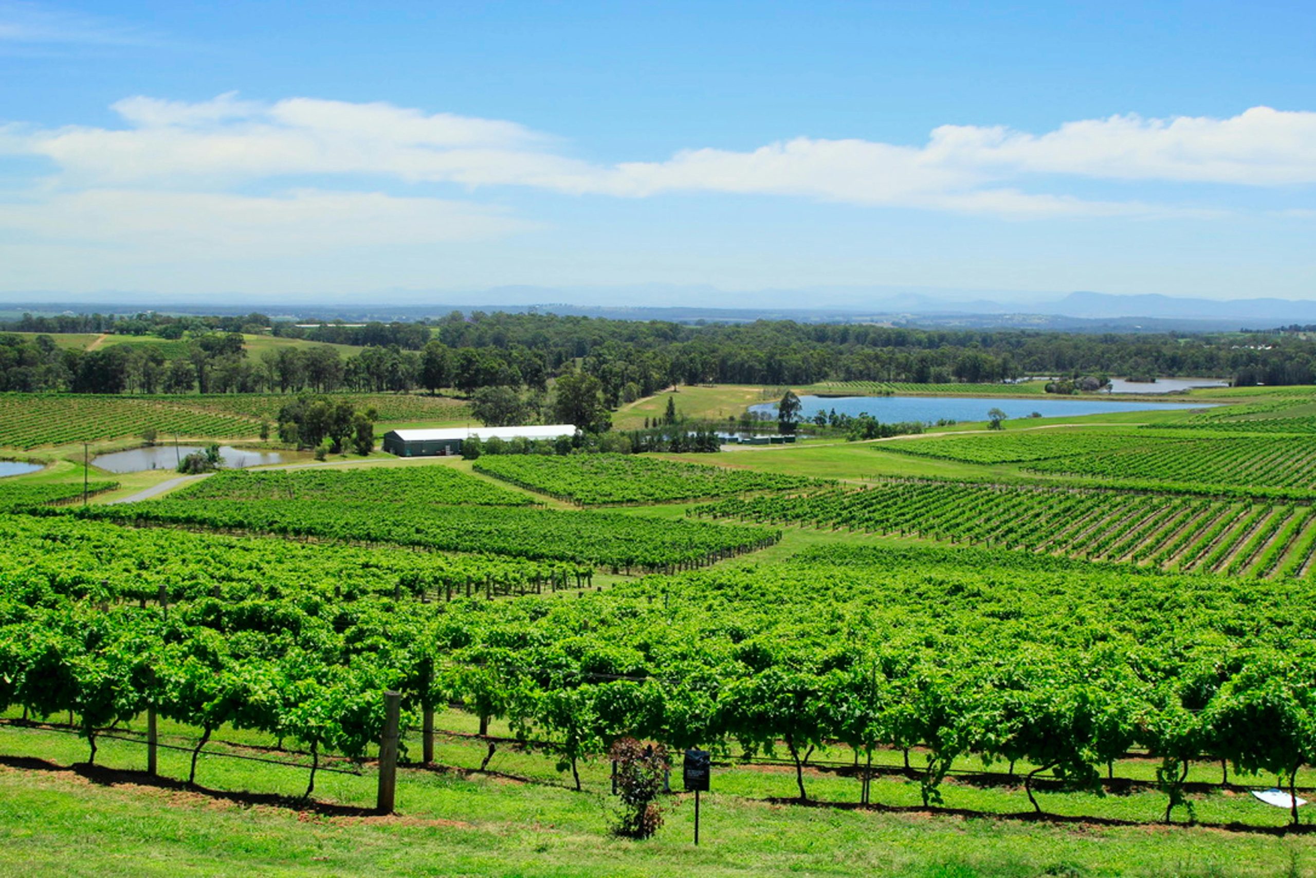 Park On King | Best Destinations for Wine Lovers